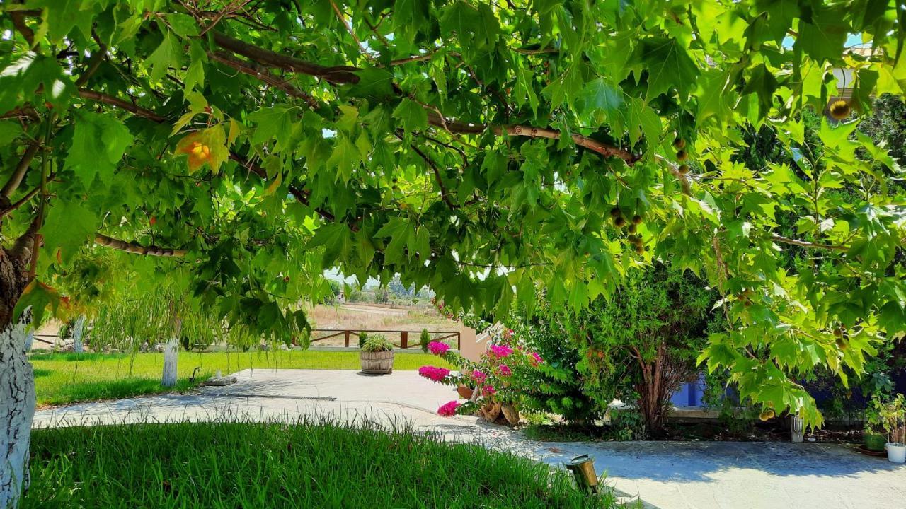 Alekos Beach Houses-Angelo Lixouri Exteriér fotografie